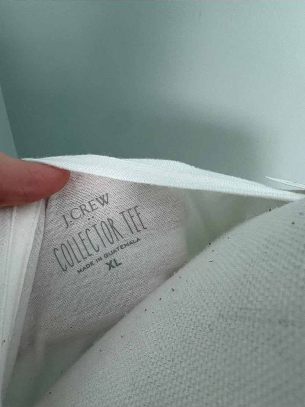 NWT J. Crew White Tee with Pink Bunny-Eared French Bulldog